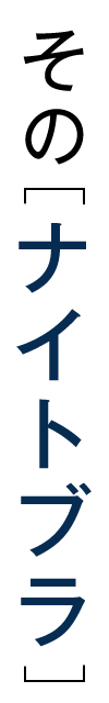 その「ナイトブラ」